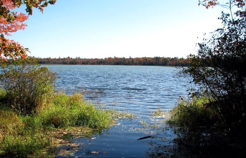 Beachfront Hotel Houghton Lake Natuur foto